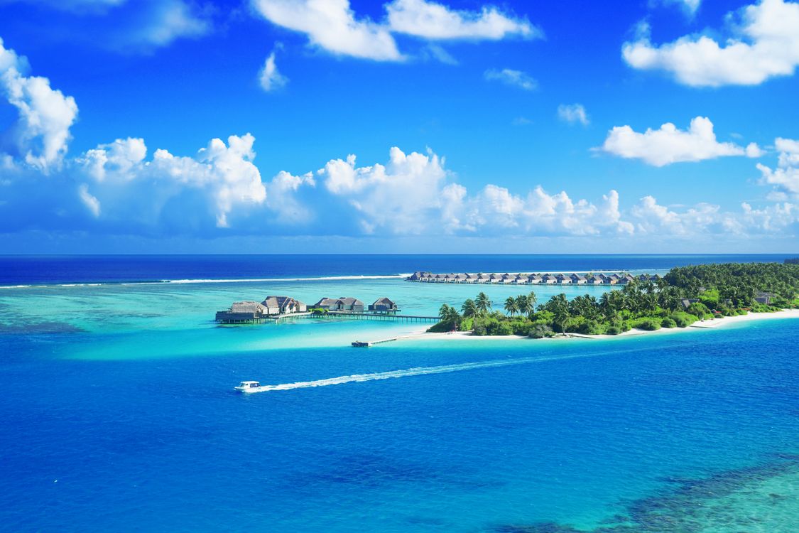 The Maldives