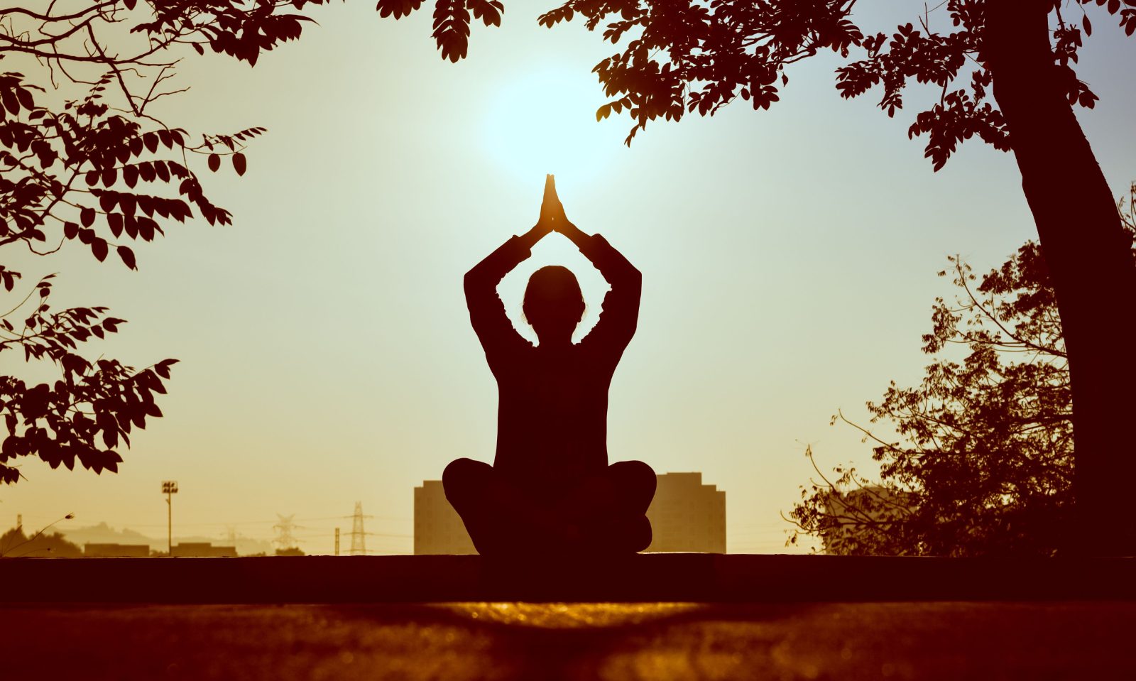 Mental Health & Motivation Boosters